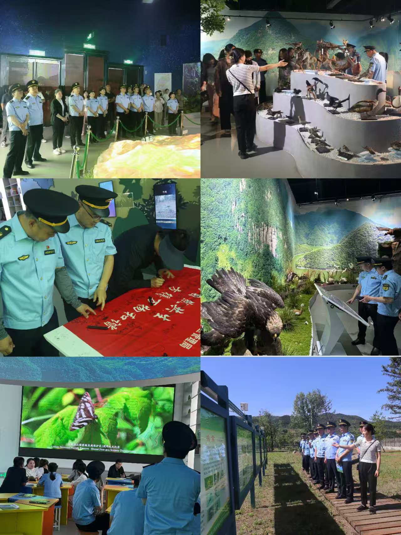 微信图片_20260608164048_433_14.jpg